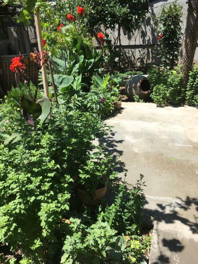Green House 트빌리시 외부 사진